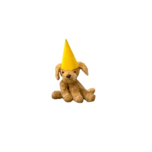 Pet Party hat