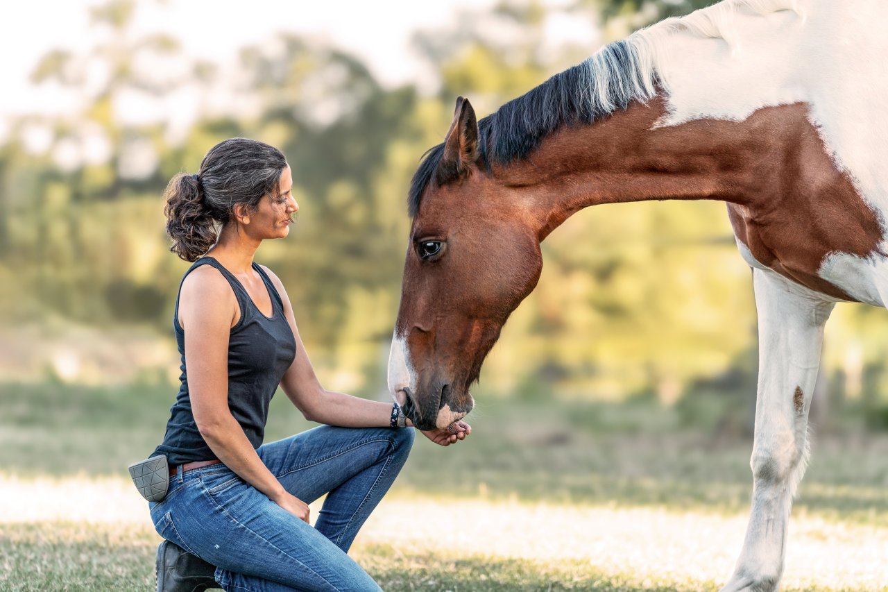 Ein geschecktes Warmblut-Pferd streckt den Kopf zutraulich in die Richtung der vor ihm hockenden Frau, sodass sein Maul vorsichtig die geöffnete Hand berührt.