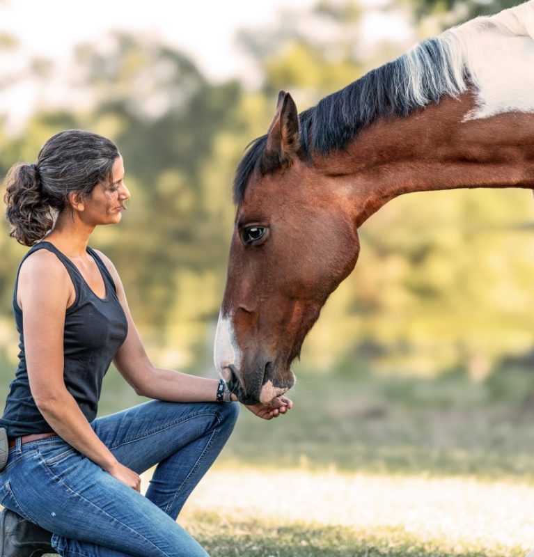 Ein geschecktes Warmblut-Pferd streckt den Kopf zutraulich in die Richtung der vor ihm hockenden Frau, sodass sein Maul vorsichtig die geöffnete Hand berührt.