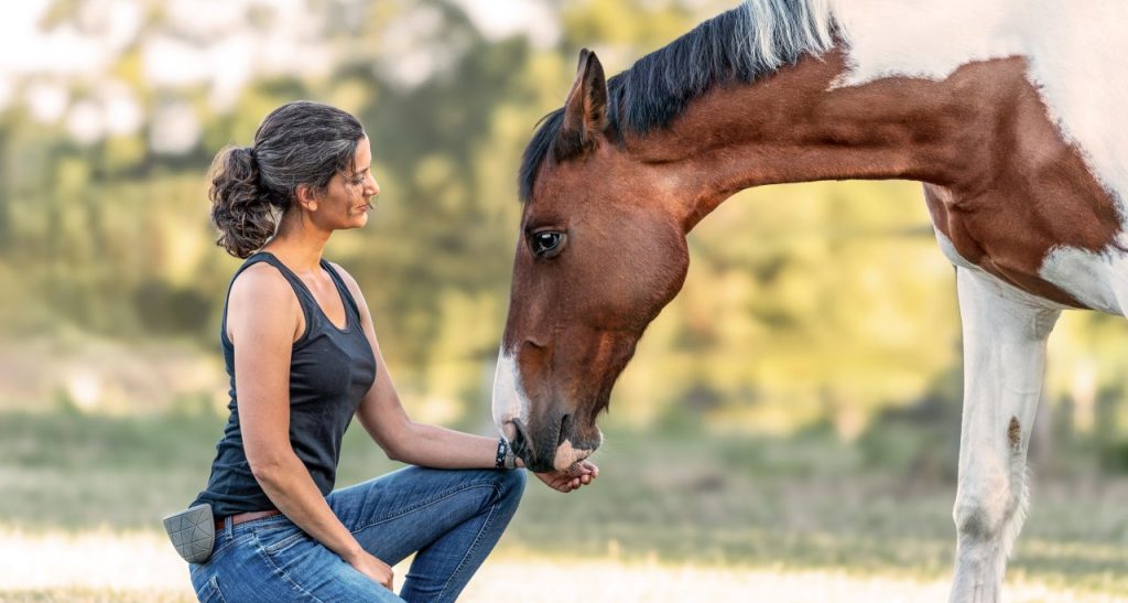 Ein geschecktes Warmblut-Pferd streckt den Kopf zutraulich in die Richtung der vor ihm hockenden Frau, sodass sein Maul vorsichtig die geöffnete Hand berührt.