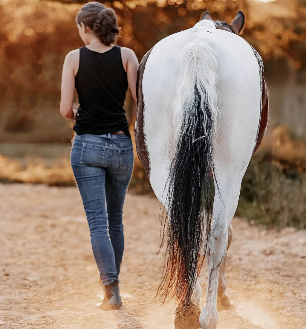 Frau und braun-weiß geschecktes Pferd gehen gemeinsam über einen Sandplatz. Beide sind von hinten zu sehen und bewegen sich entspannt nebeneinander. Das warme Abendlicht und der aufwirbelnde Sand verleihen der Szene eine ruhige, harmonische Atmosphäre und unterstreichen die vertrauensvolle Verbindung zwischen Mensch und Pferd.